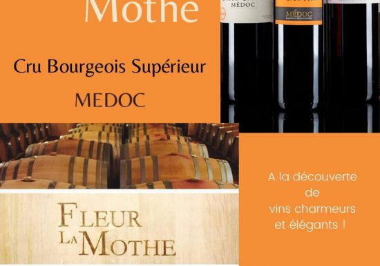 Château Fleur La Mothe