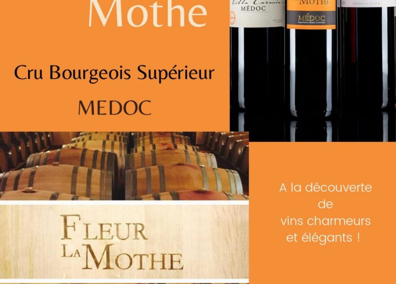 Chateau Fleur La Mothe