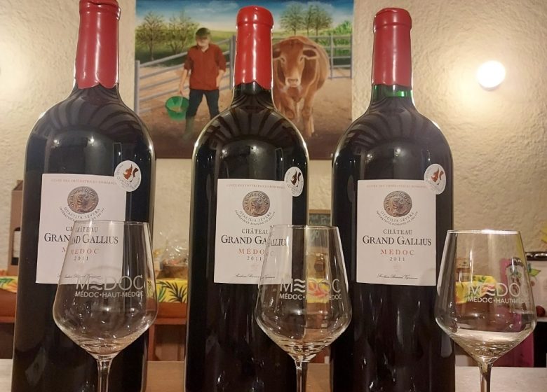 Château Grand Gallius