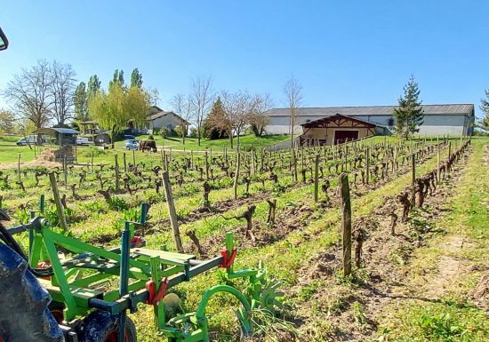 Château Grand Gallius