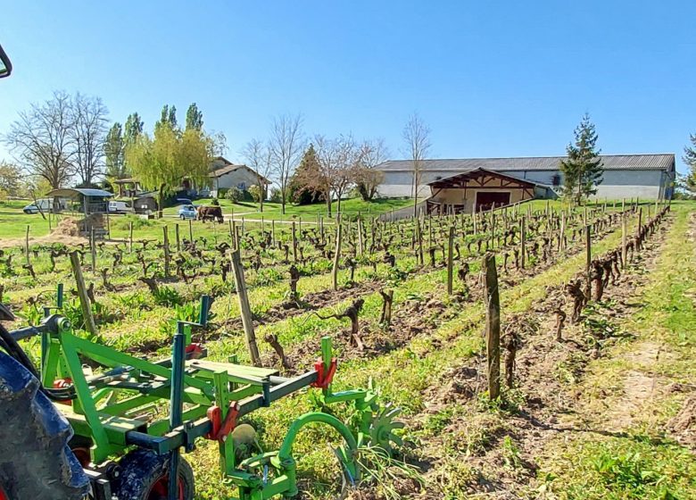 Château Grand Gallius