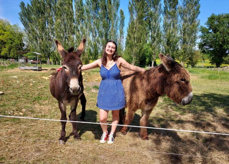 Château Grand Gallius