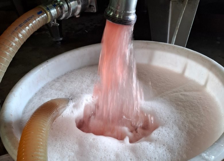 Château Grand Gallius