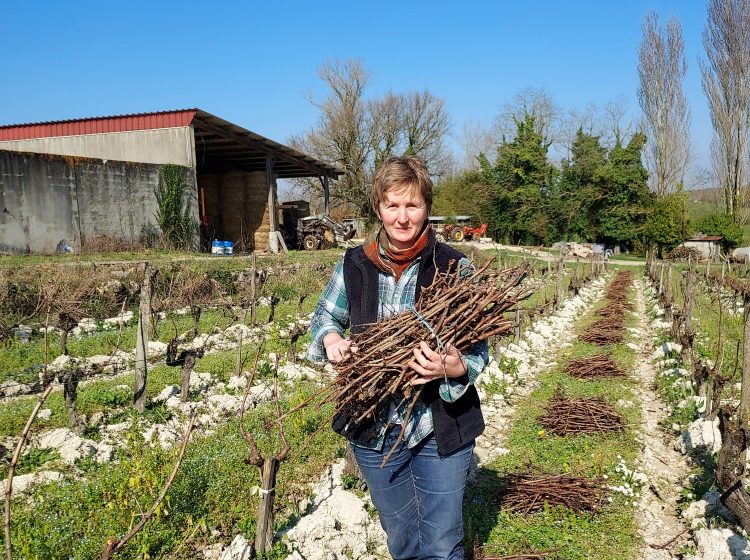 Château Grand Gallius