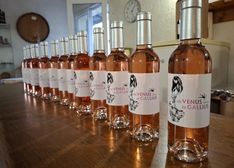 Château Grand Gallius