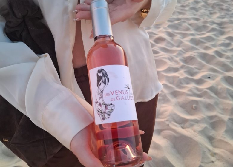 Château Grand Gallius