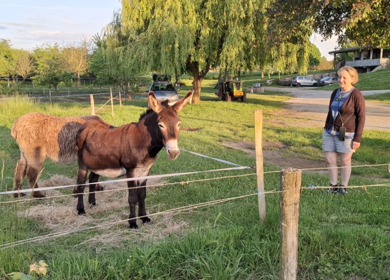Château Grand Gallius