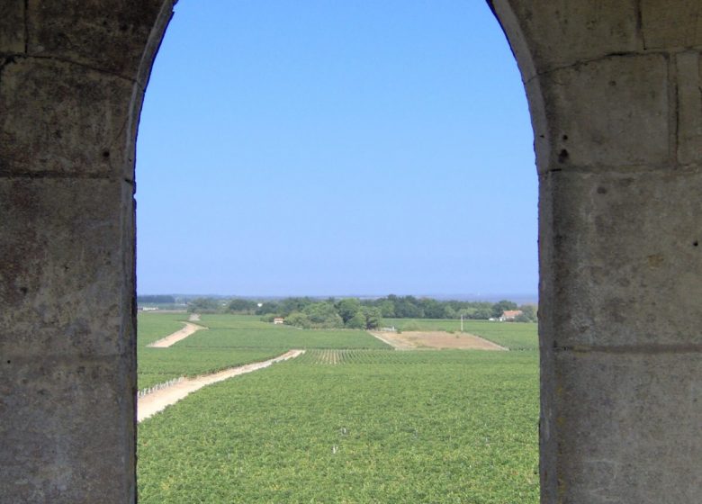 Château La Tour de By