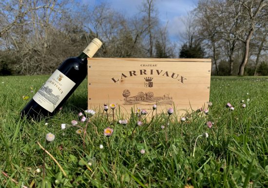 Chateau Larrivaux