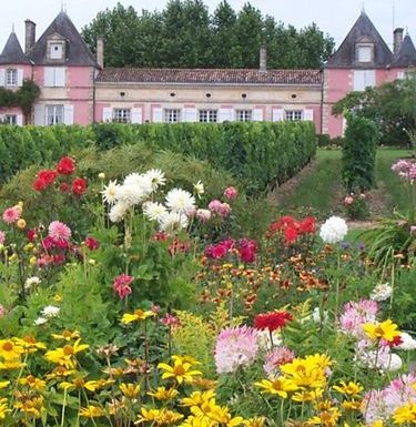 Rozentuin van Château Loudenne