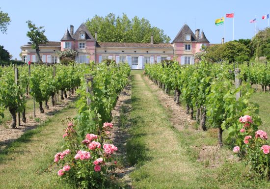 Piquenique tradicional no Château Loudenne