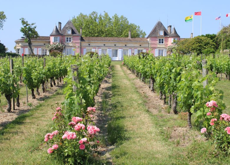 Traditional picnic at Château Loudenne