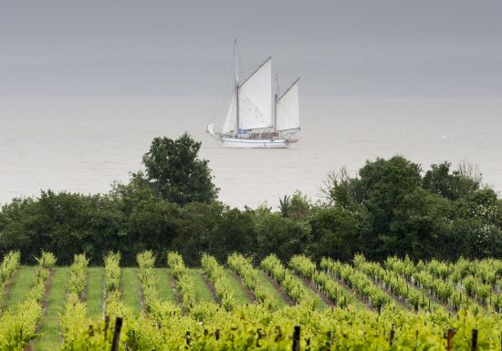 Traditionelles Picknick im Château Loudenne