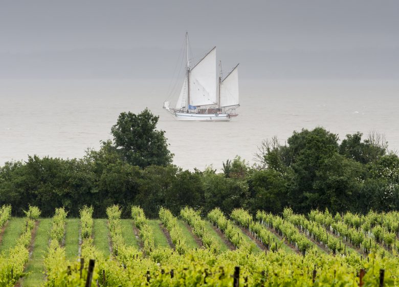 Traditional picnic at Château Loudenne