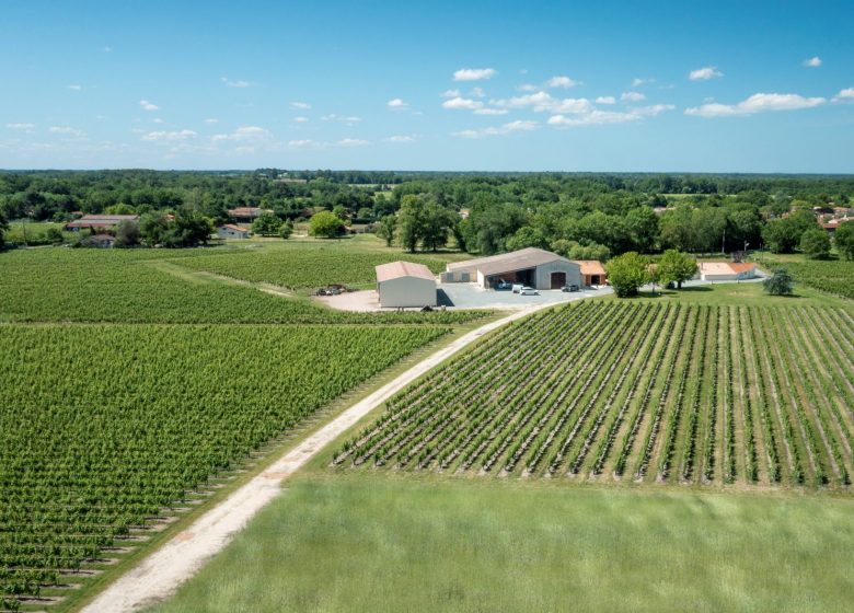 Aire du Château la Branne