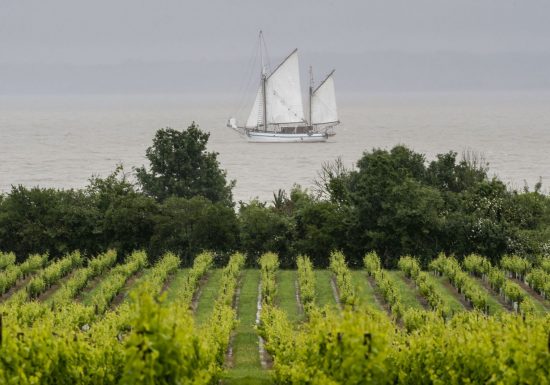 Chateau Loudenne