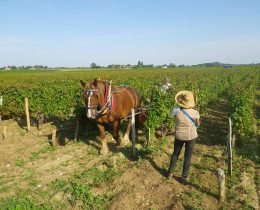 Clos Grange-Vieille