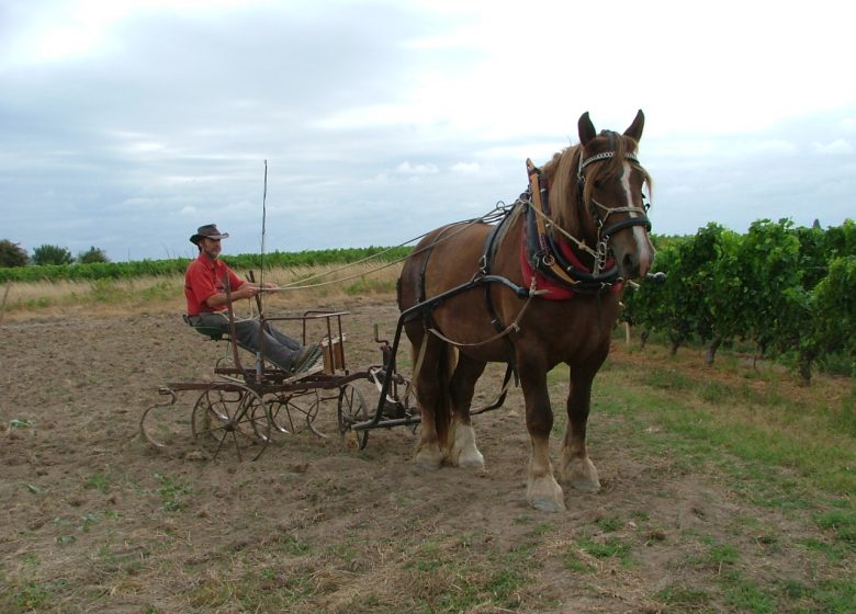 Clos Grange Vieille