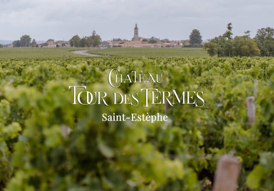 Château Tour des Termes