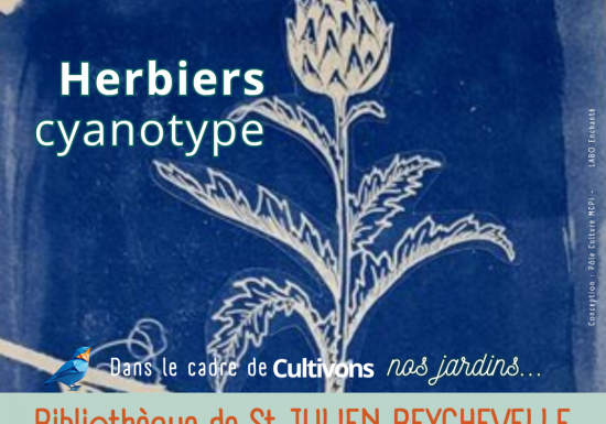 Atelier Herbier cyanotype