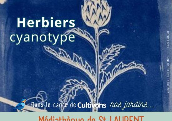 Herbier cyanoptype