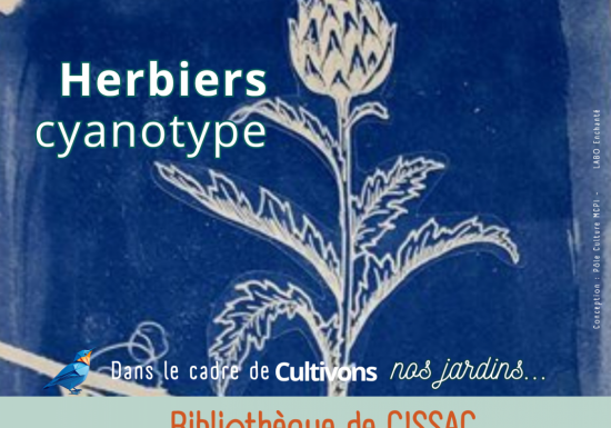 Atelier Herbier cyanotype