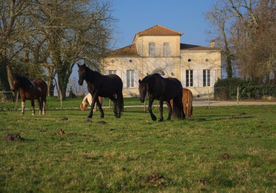 Château de Cach