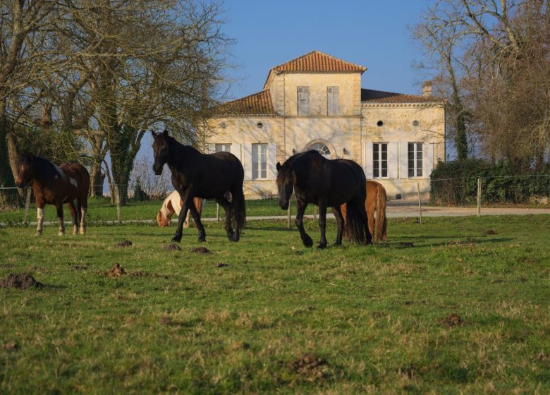 Château de Cach