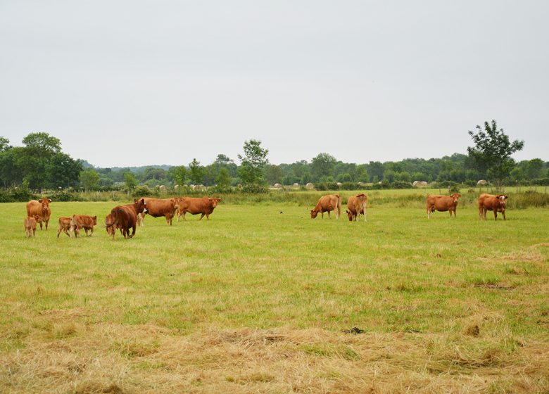 La Boucle du Marais