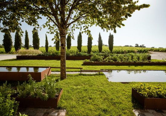 Château Haut-Bages الليبرالية