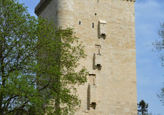 Der Ehrenturm und sein Museum