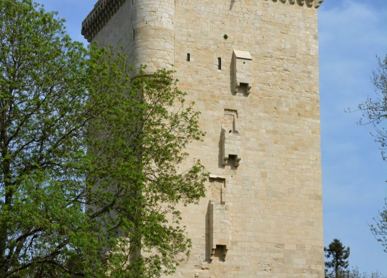 A torre de honra