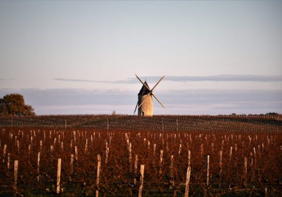 Château Tour Haut Caussan