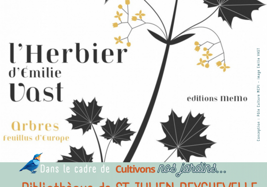 Expo les herbiers d’Emilie Vast les arbres feuillus
