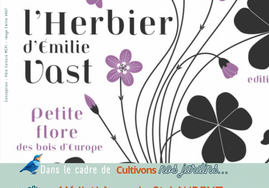 Expo Les herbiers d’Emile VAST la petite flore des bois