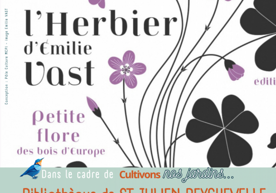Expo Les herbiers d’Emilie Vast La petite flore des bois