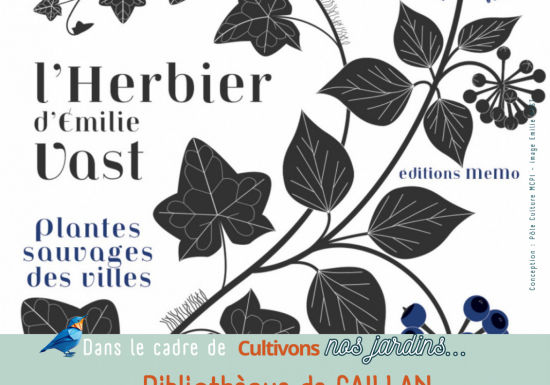 Expo les herbiers d’Emilie VAST les plantes sauvages des villes