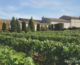 Château Tour des Termes