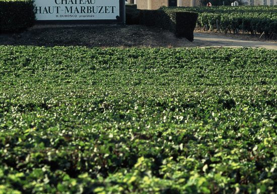 Château Haut-Marbuzet