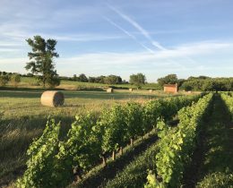 Famille Bouey Vignobles et Châteaux