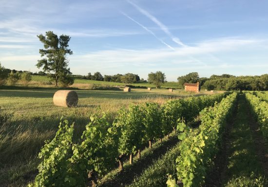 Famille Bouey Vignobles et Châteaux