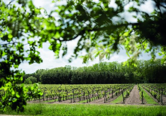 Château Bertrand Braneyre