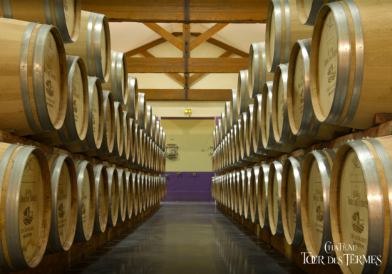 Château Tour des Termes