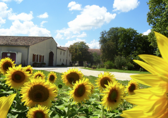 Aire du Château des Granges d’Or