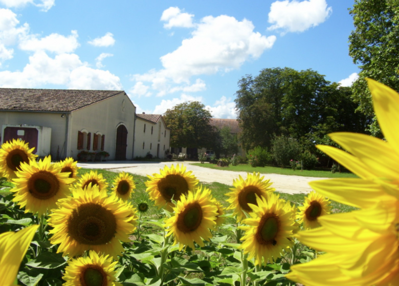 Bereich des Château des Granges d’Or