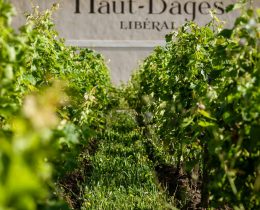 Château Haut-Bages Libéral