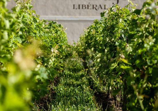 Château Haut-Bages Liberal