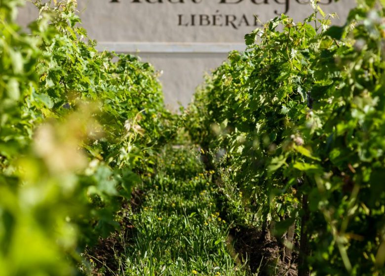 Château Haut-Bages Liberal