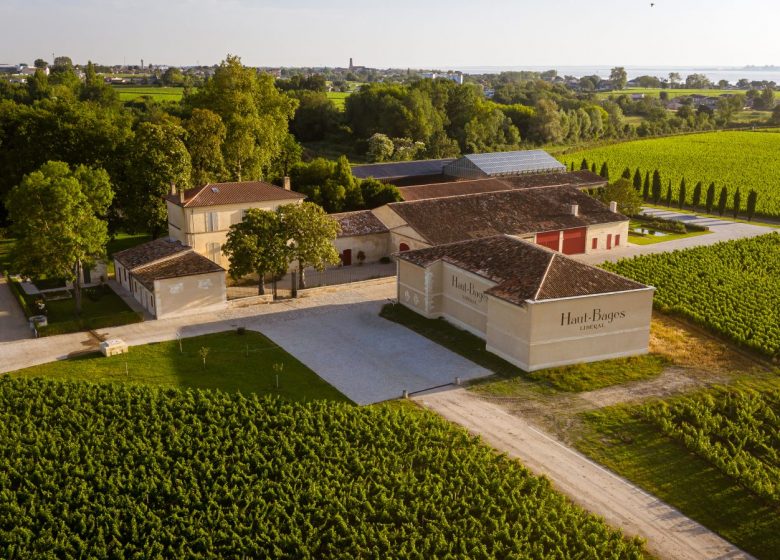 Château Haut-Bages Liberaal