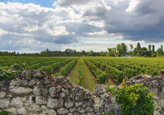 Château Haut Coteau